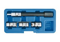 SW-STAHL Alat za common rail injektore za čišćenje dosjeda BMW/PSA/MB/Fiat, set 5 dijelova (03683L)