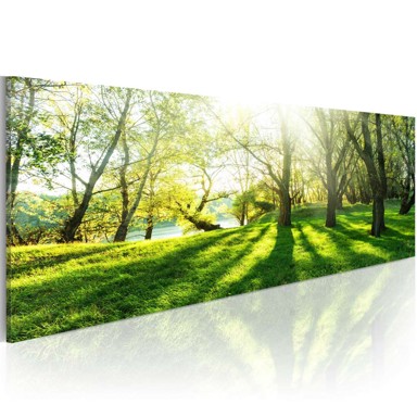 Slika Rays of Sunshine 135x45