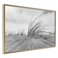 Poster Seaside Dunes 90x60