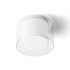 RENDL Stropna lampa, Venice 23, prozirno staklo/opal staklo/krom, 230V, E27, 20W, IP44, krom