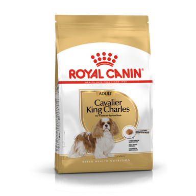 ROYAL CANIN BHN Cavalier King Charles Adult, potpuna hrana specijalno prilagođena potreba ma odraslih i starijih kavalira kralja Charlesa, 3 kg