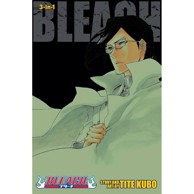 Bleach 3-in-1 vol. 24