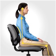 FELLOWES Jastuk za leđa Ergonomics profesionalni