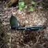 NORTHIX Lopata