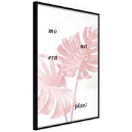 Poster Pale Pink Monstera 20x30