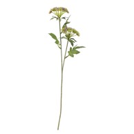 BLOOMINGVILLE Umjetna biljka Throatwort, visina 49 cm