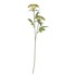 BLOOMINGVILLE Umjetna biljka Throatwort, visina 49 cm  