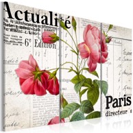 Slika Paris directeur 90x60