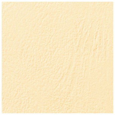 GBC Korice za spiralni uvez 250 g karton reljefne A4 pk100 CE040065, bež