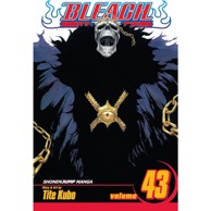 Bleach vol. 43