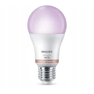 PHILIPS WFB LED Žarulja, E27, 75W, G95, 922-65, RGB