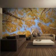 Foto tapeta Autumnal treetops 250x193