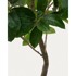 KAVE HOME Umjetni fikus Ficus, visina 210 cm  
