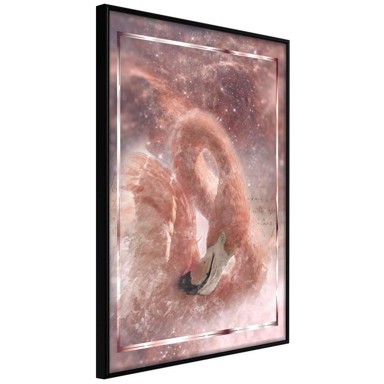 Poster Stellar Bird 30x45