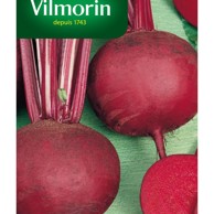 VILMORIN Sjeme povrća 603 cikla egipat