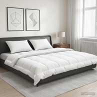 Ljetni set popluna i jastuka od vune 220 x 240 cm, 200 g/m², 3 kom.