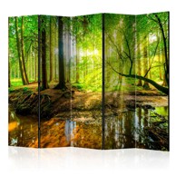 Sobna pregrada u 5 dijelova Forest Stream II 225x172