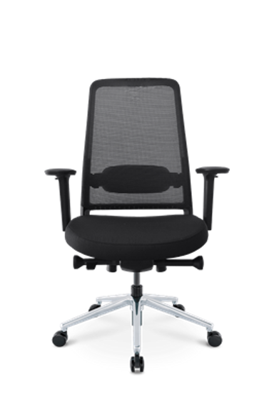 ERGOVISION Ergonomska uredska stolica Flex, crna