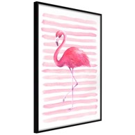 Poster Pink Madness 20x30