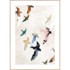 MALERIFABRIKKEN Slika 30x40 cm Abstract Birds 