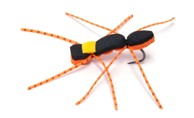 Černobilski mrav ribolovna muha