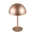 TRIO LED stolna lampa u brončanoj boji s metalnim sjenilom (visina 21 cm) Munoz 