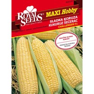 ROYAL SEEDS Sjeme povrća 155 kukuruz šečerac chalenger f1