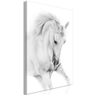 Slika White Horse Vertical 40x60