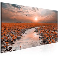 Slika Lily Pathway Narrow 120x40