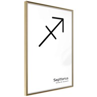 Poster Zodiac: Sagittarius II 40x60