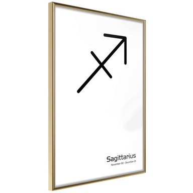 Poster Zodiac: Sagittarius II 40x60