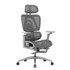 Ergonomska uredska stolica Expert 7.9, siva