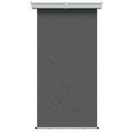 Balkonski bočni awning, 165 x 250 cm, 100% poliester, željezo i čelik, antracit