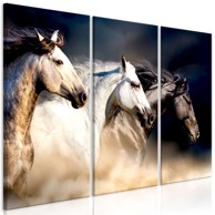 Slika Sons of the Wind (iz tri dijela) 120x80