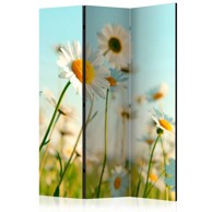 Sobna pregrada u 3 dijela Daisies - spring meadow 135x172