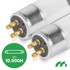 UV lampa protiv insekata i komaraca, 8 W, 30,5 cm, promjer 15 mm