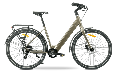 MS ENERGY E-bicikl eBike Zorya, brončani