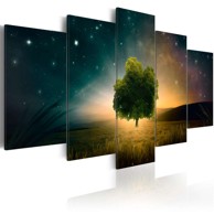 Slika Valley of Stars 100x50
