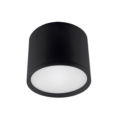 LED Stropna svjetiljka Rolen, 10W, 4000K, crna
