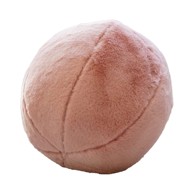 MIOLI DECOR Ukrasni jastuk od mikropliša ø 25 cm Top