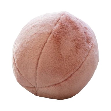 MIOLI DECOR Ukrasni jastuk od mikropliša ø 25 cm Top 