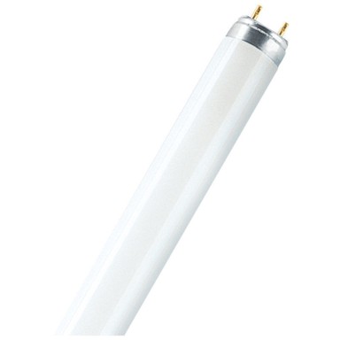 OSRAM Fluo cijev 18W/830 LUMILUX T8