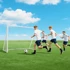 Nogometni gol 240 x 90 x 180 cm