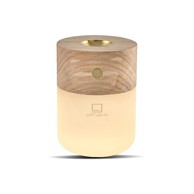GINGKO Električni difuzor Smart