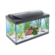 TETRA Akvarij Starter Line, crni, LED osvjetljenje, 54 l