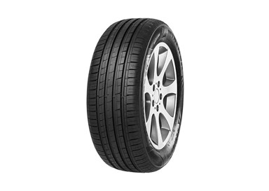 MINERVA 195/50R16 84H F209 C B