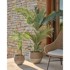KAVE HOME Umjetna palma, visina 70 cm  
