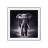 PT LIVING Slika 50x50 cm Elephant