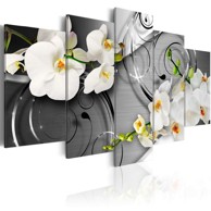 Slika Milky orchids 200x100
