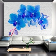 Foto tapeta Blue excitation 100x70